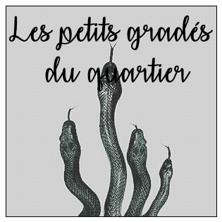 gradesduquartier.png