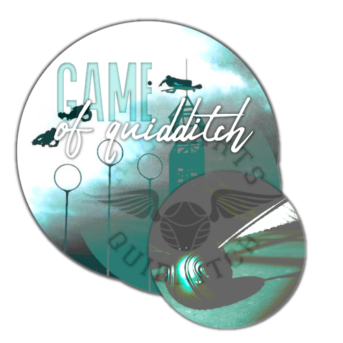 game of quidditch.png